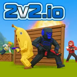 2V2-IO